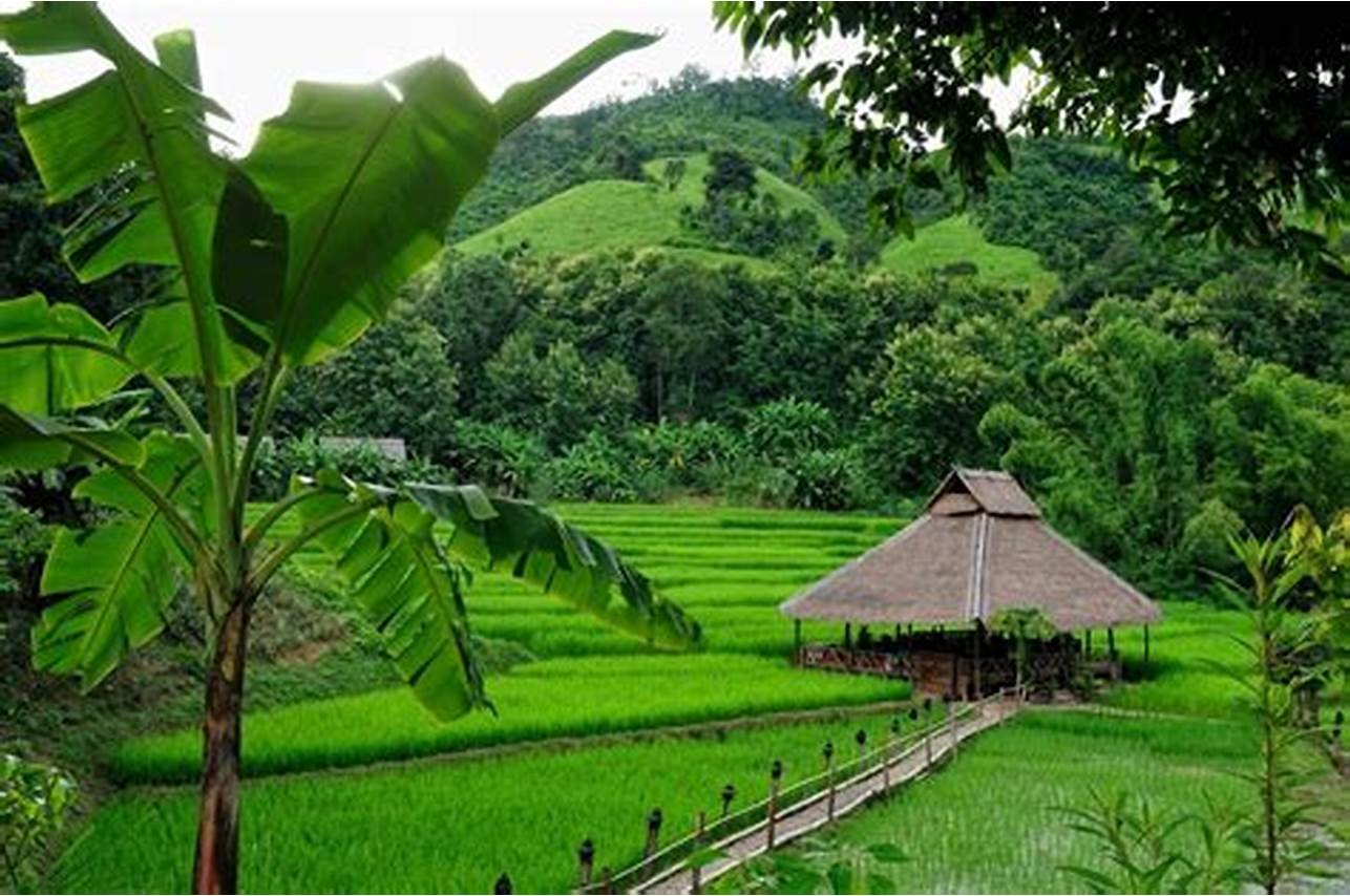 "Xanh hoá" điểm đến