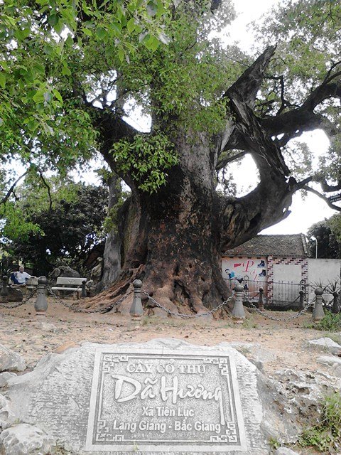 Cụm di tích Tiên Lục