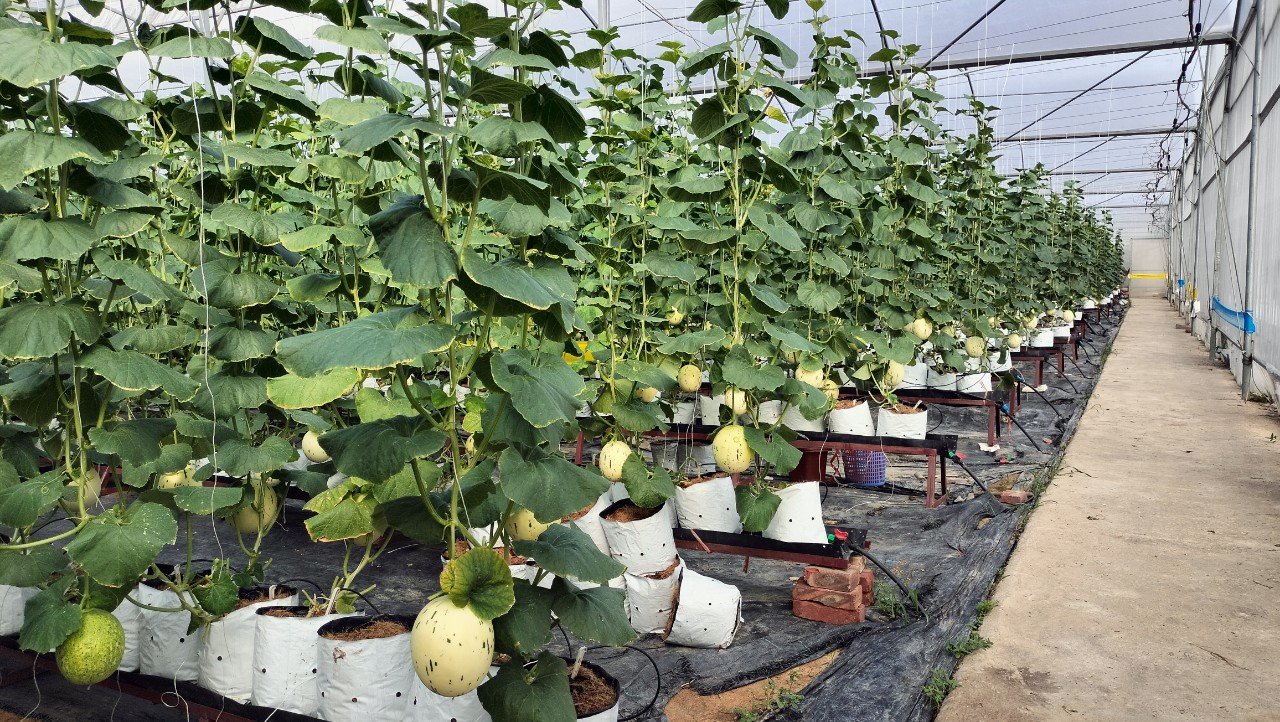 Hiệp hội Du lịch tổ chức khảo sát điểm đến du lịch