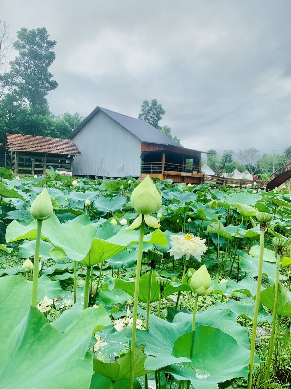 BẢN VEN- ĐIỂM DU LỊCH SINH THÁI CỘNG ĐỒNG HẤP DẪN